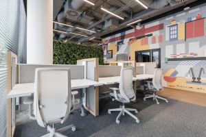 Row of desks with office chairs beside a green wall