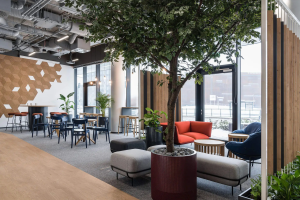 Desks with acoustic screens and hanging plants